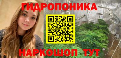 Альфа ПВП Будённовск