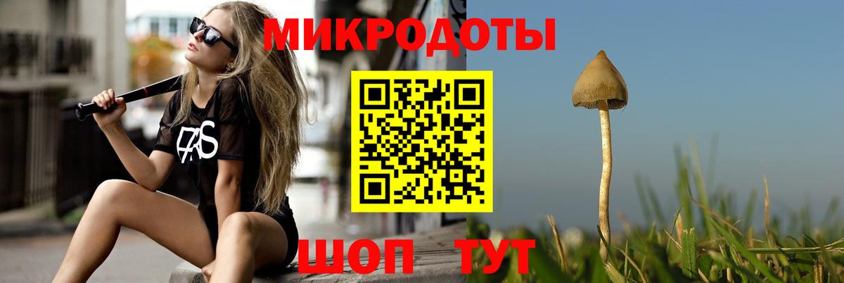 Галлюциногенные грибы Cubensis  Вход с VPN  Стерлитамак  Псилоцибиновые грибы Cubensis 